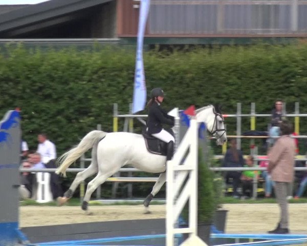 Reitturnier Neuss-Allerheiligen 2017