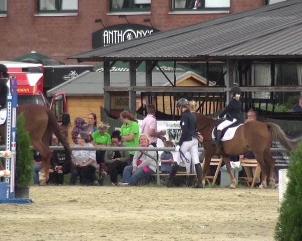 Reitturnier Neuss-Allerheiligen 2017
