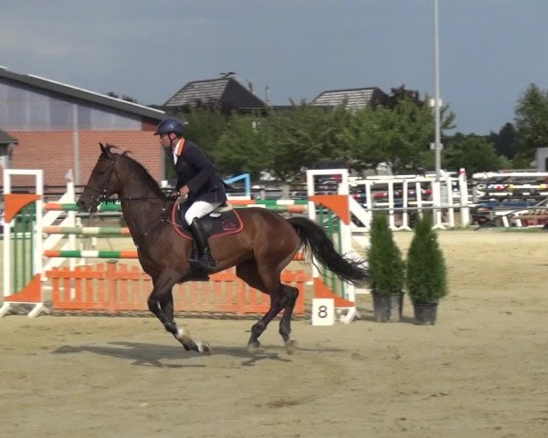 Reitturnier Neuss-Allerheiligen 2017