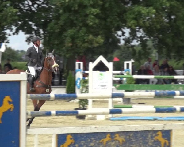 Reitturnier Neuss-Allerheiligen 2017