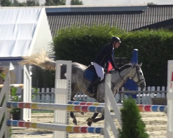 Reitturnier Neuss-Allerheiligen 2017
