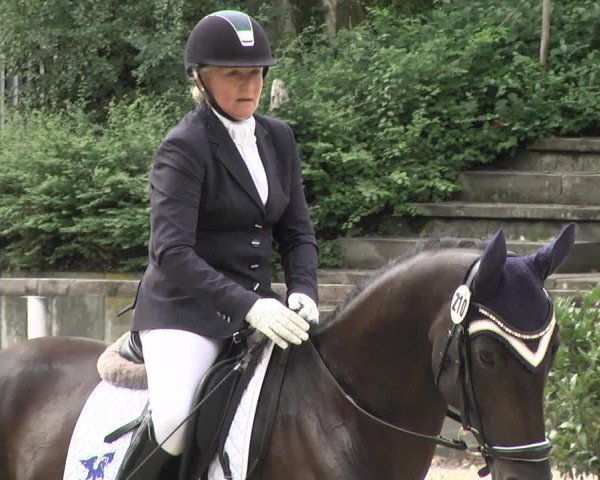 Reitturnier Waiblingen 2017