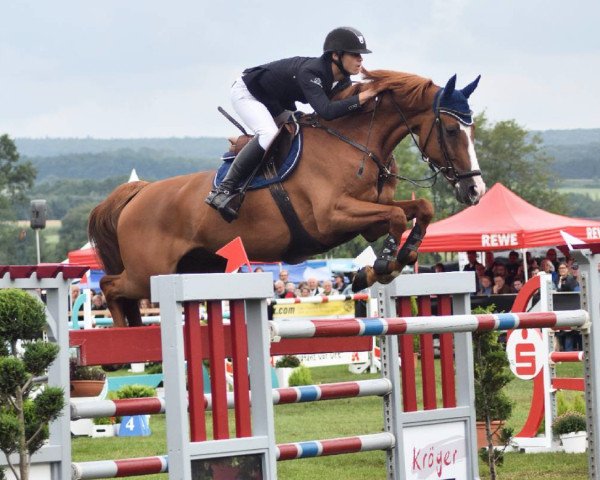 jumper Can win (Oldenburg show jumper, 2005, from Canabis Z)