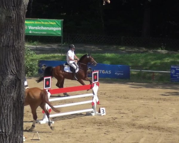 Reitturnier CSN Calvörde 2017