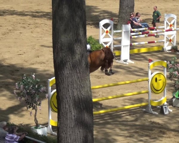 Reitturnier CSN Calvörde 2017