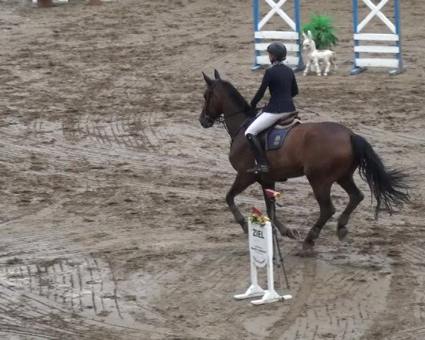 Reitturnier CSN Calvörde 2017
