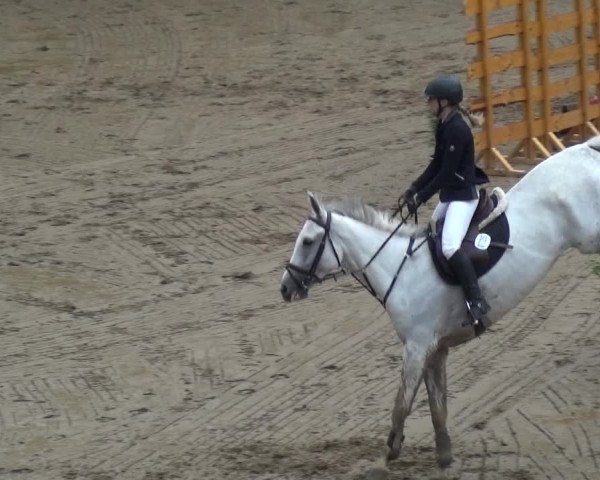 Reitturnier CSN Calvörde 2017