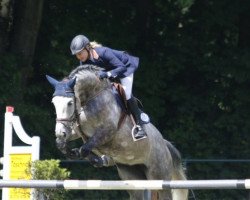 jumper Hansine 2 (German Sport Horse, 2010, from Colestus)