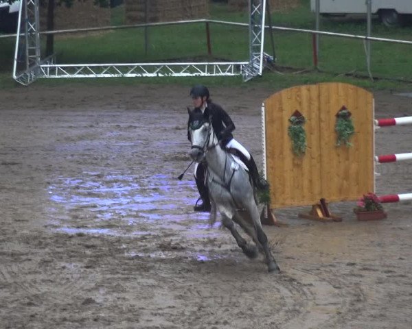 Reitturnier CSN Calvörde 2017