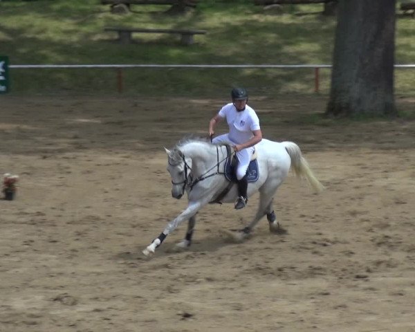 Reitturnier CSN Calvörde 2017