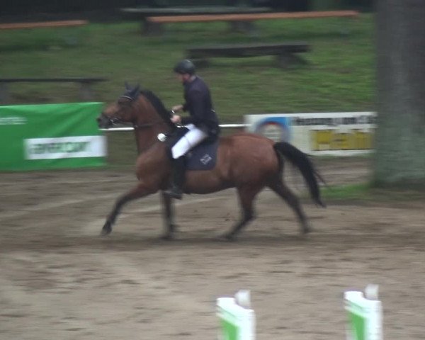 Reitturnier CSN Calvörde 2017
