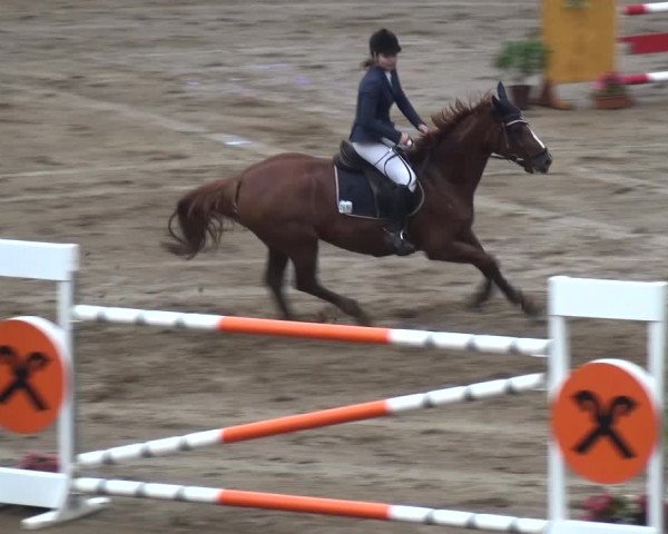 Reitturnier CSN Calvörde 2017