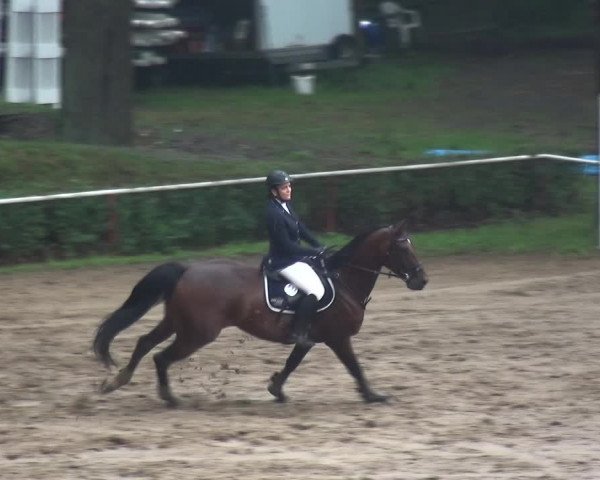 Reitturnier CSN Calvörde 2017