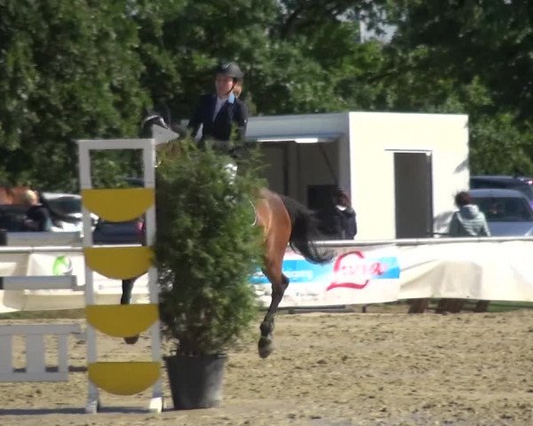 Reitturnier Neuss-Allerheiligen 2017