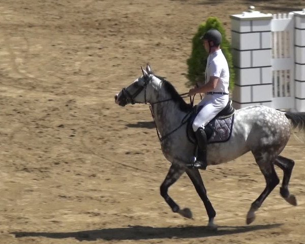 Reitturnier CSN Calvörde 2017