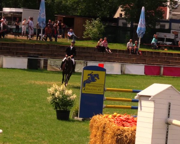 Reitturnier Baschütz bei Bautzen 2017