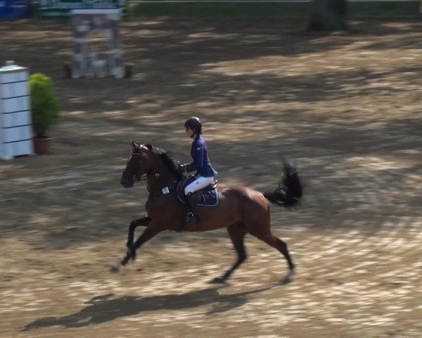 Reitturnier CSN Calvörde 2017