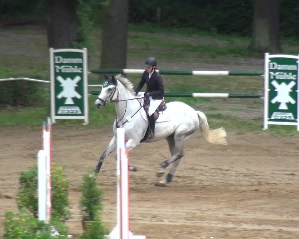 Reitturnier CSN Calvörde 2017