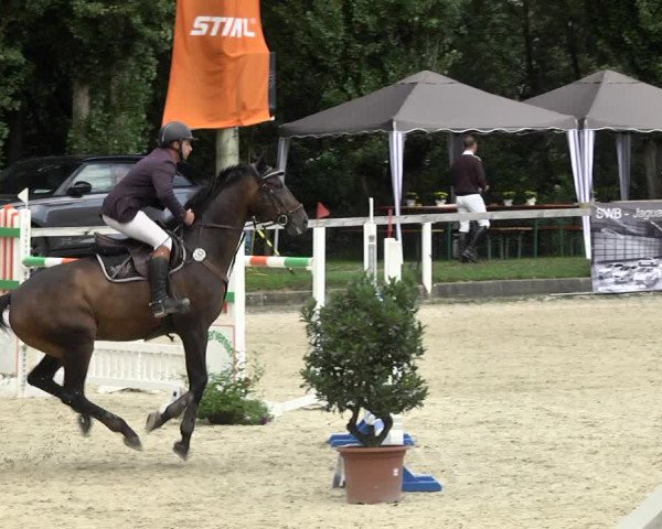 Reitturnier Waiblingen 2017