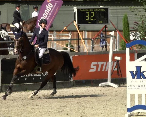 Reitturnier Waiblingen 2017