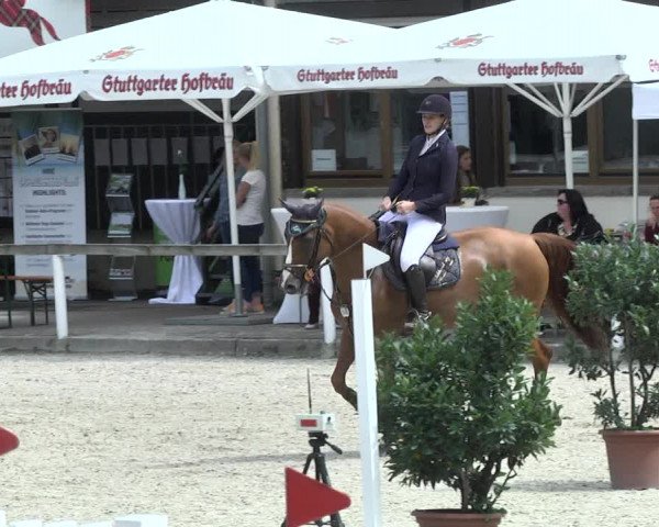 Reitturnier Waiblingen 2017