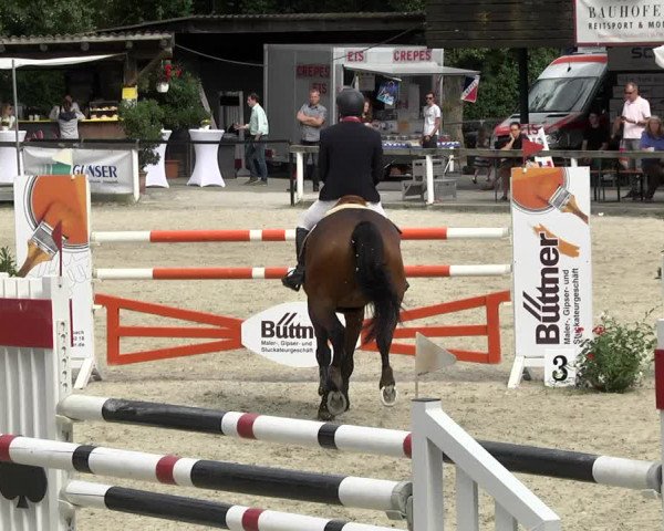 Reitturnier Waiblingen 2017