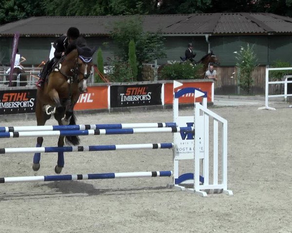 Reitturnier Waiblingen 2017