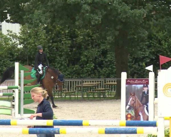 Reitturnier Rot am See- Musdorf 2017