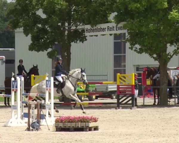 Reitturnier Rot am See- Musdorf 2017