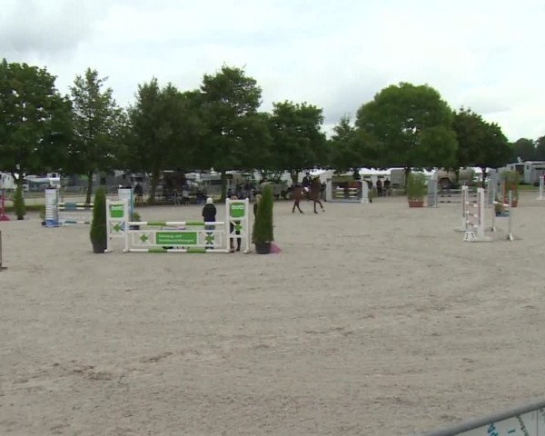 Reitturnier Rot am See- Musdorf 2017