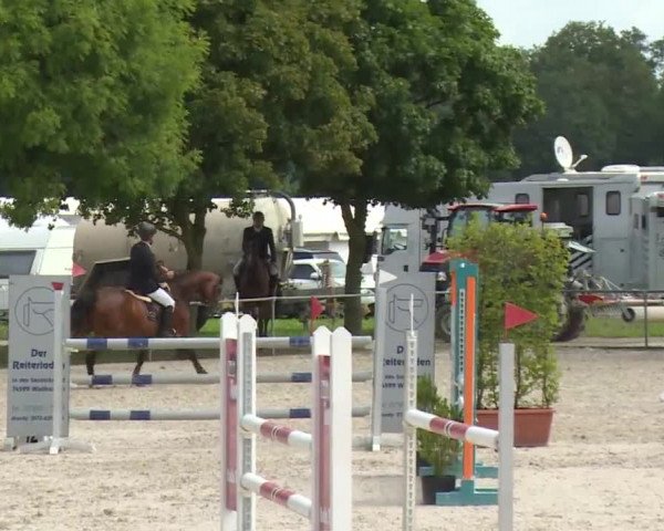 Reitturnier Rot am See- Musdorf 2017