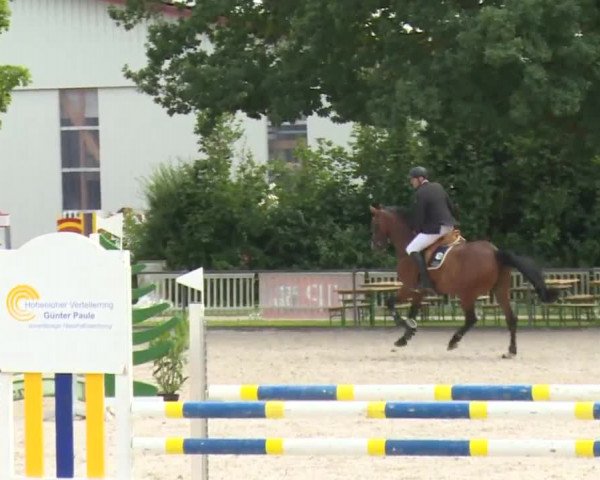 Reitturnier Rot am See- Musdorf 2017