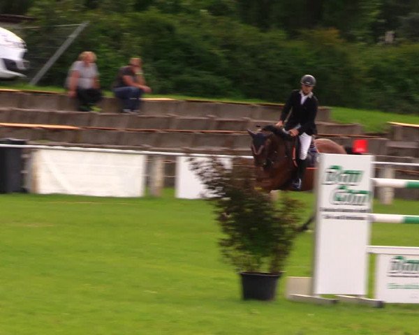 Reitturnier Baschütz bei Bautzen 2017