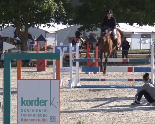 Reitturnier Rot am See- Musdorf 2017