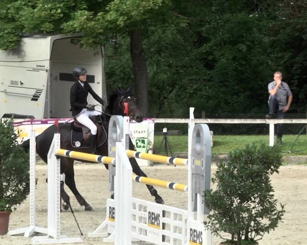 Reitturnier Waiblingen 2017