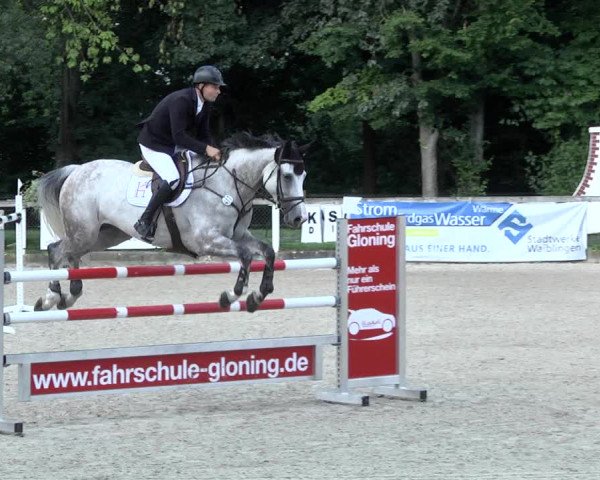 Reitturnier Waiblingen 2017