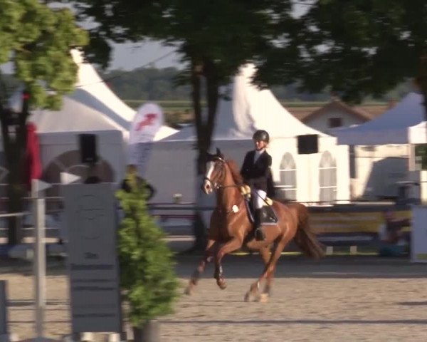 Reitturnier Rot am See- Musdorf 2017