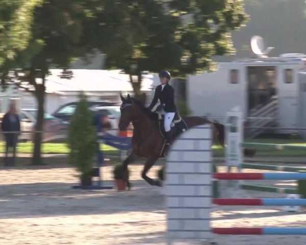 Reitturnier Rot am See- Musdorf 2017