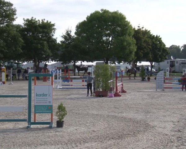 Reitturnier Rot am See- Musdorf 2017