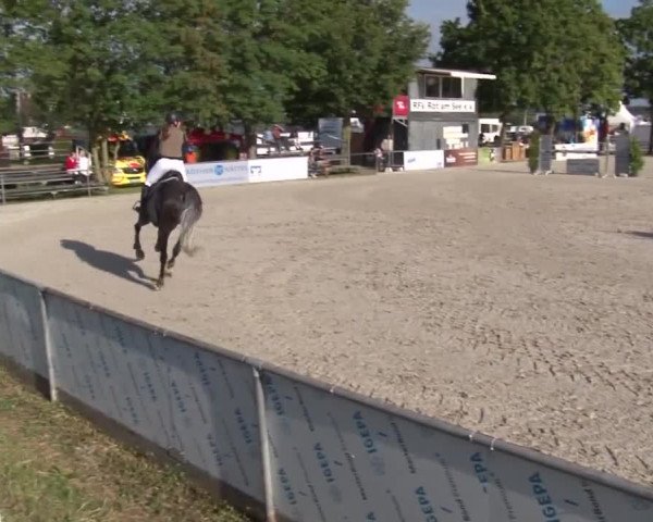 Reitturnier Rot am See- Musdorf 2017