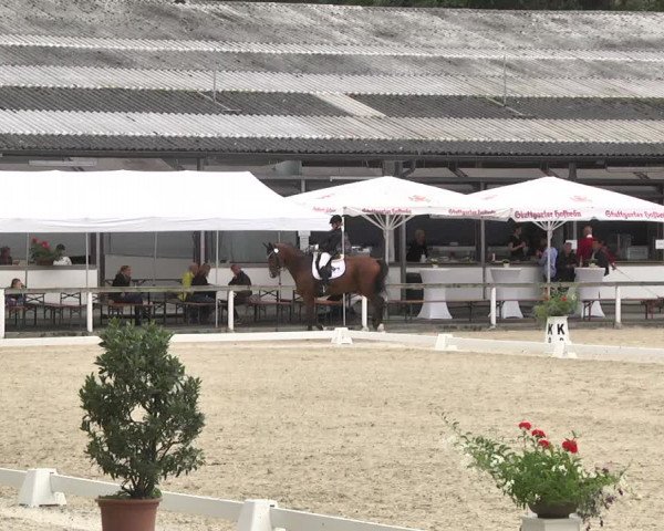 Reitturnier Waiblingen 2017