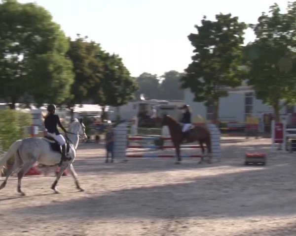 Reitturnier Rot am See- Musdorf 2017
