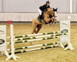 stallion Baloubeau de Revel ZD (Holsteiner, 2014, from Baloubet du Rouet)