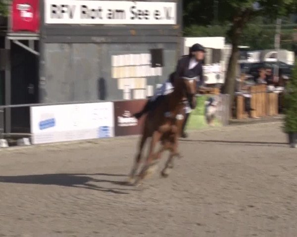 Reitturnier Rot am See- Musdorf 2017