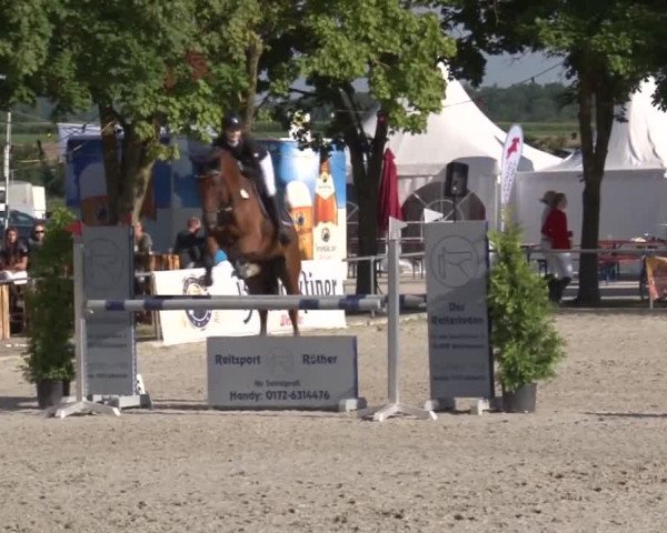 Reitturnier Rot am See- Musdorf 2017