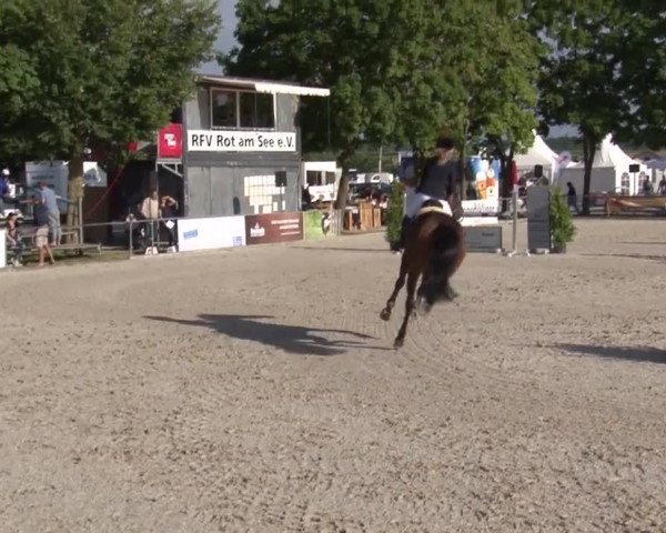 Reitturnier Rot am See- Musdorf 2017