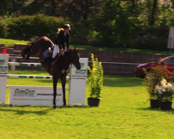 Reitturnier Baschütz bei Bautzen 2017
