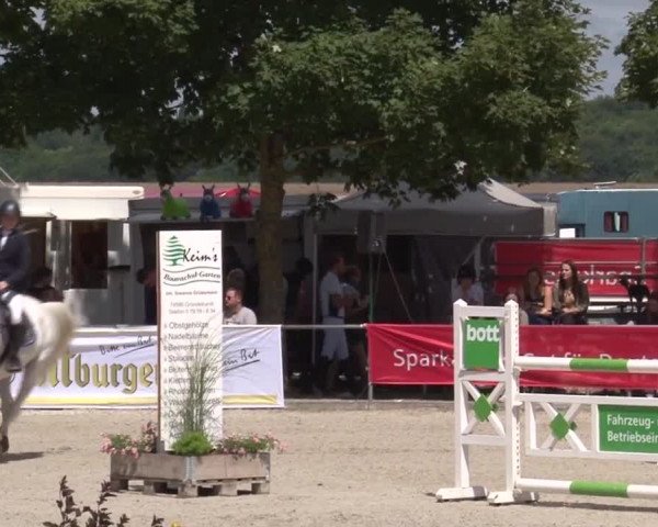 Reitturnier Rot am See- Musdorf 2017