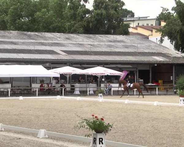 Reitturnier Waiblingen 2017