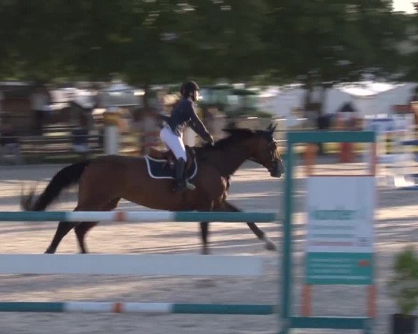 Reitturnier Rot am See- Musdorf 2017